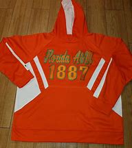 Image result for FAMU Hoodie