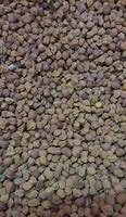 Image result for Chana Dal Raw