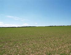 Image result for Arable Farm