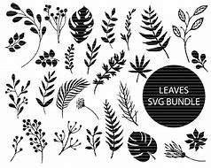 Image result for Leaf Decor SVG