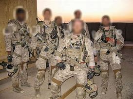 Image result for Seal Team 6 Gold Squadron