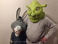 Image result for Shrek Costumes