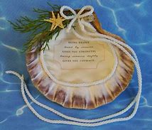 Image result for Seashell Love Sayings