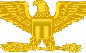 Image result for Gold Eagle Logo Transparent