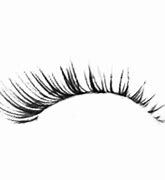 Image result for Eyelash PNG