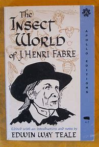 Image result for Insect Book by Fabre