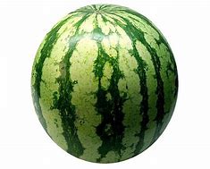 Image result for Watermelon