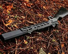 Image result for Suppressed SBR