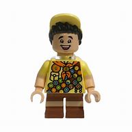 Image result for LEGO Up Russell