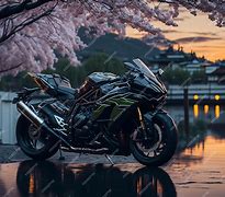 Image result for Kawasaki H2R Outdoor Photoshoot