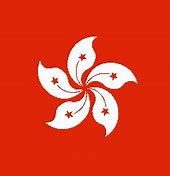 Image result for Hong Kong Balck Flag