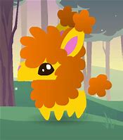 Image result for Pet Llama