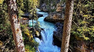 Image result for Forest River Waterfalls