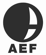 Image result for AEF Bands