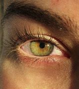 Image result for Greenish Yellow Eyes Logo