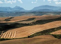 Image result for Arable Farming