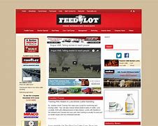 Image result for Feedlot