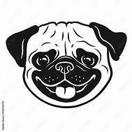 Image result for All White Pug