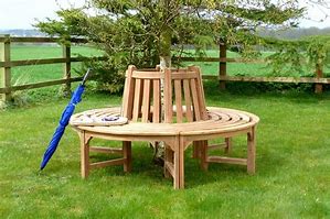 Image result for Back Yard Olive Tree Bench