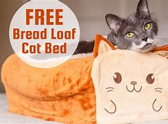 Image result for Bread Cat Bed