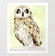 Image result for Pueo Owl Art