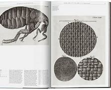 Image result for Mass Illustration Science