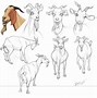 Image result for pygmy goat cartoon