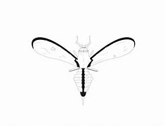 Image result for Robotic Bug