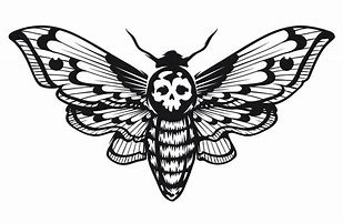 Image result for Death Head Moth Skull