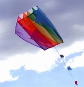 Image result for Ragged Kites