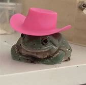 Image result for Frog Boy PFP