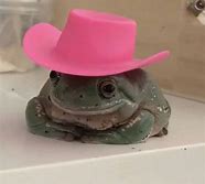 Image result for Frog Boy PFP