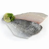 Image result for Black Sea Bream