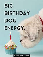 Image result for Happy Birthday Dog Puns