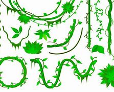 Image result for Animated Jungle Vines