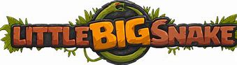 Image result for Little Big Snake Game