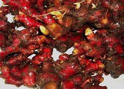 Image result for Jahe Merah