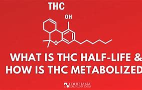 Image result for THC Half-Life Chart