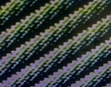 Image result for Digital Internet Texture