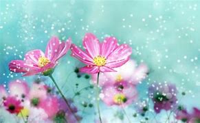 Image result for Cute Intial S Backgrounds