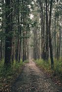 Image result for Long Path