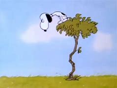 Image result for Snoopy Cross Eyed Vulture