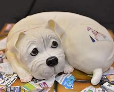 Image result for White Dog Cake