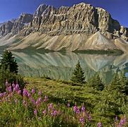 Image result for Banff National Park Tours