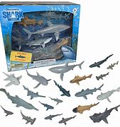 Image result for Shark Teddy