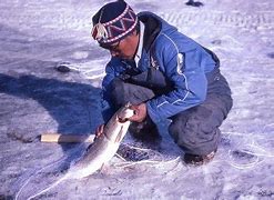 Image result for Inuit Fish