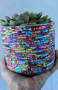 Image result for Unique Indoor Plant Pots