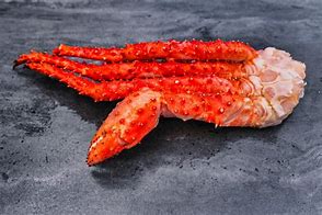 Image result for Horned King Crab