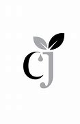 Image result for CJ Finance Logo