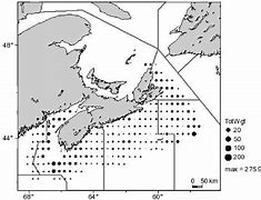 Image result for Wolfish in Nova Scotia